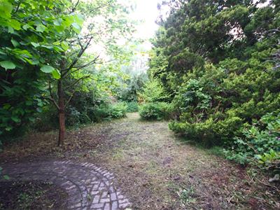 Picture 25